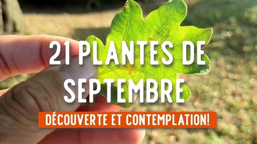 Saveurs Oubliées du 26 Août 2023